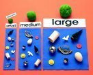 Primary Concepts Size Sort Game