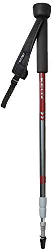 Kelty Snapshot Hiking Staff (Lyons Blue/Canyon Brown)