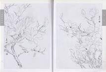 Amazon.co.jp: 9787554701836 木蓮 工筆線描画譜 モクレン水墨画 大人