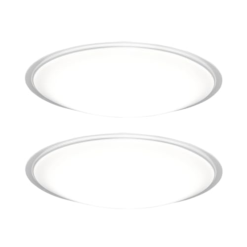 y2Zbgzyߓd΍zACXI[} LEDV[OCg 12 ({ƖHƉ)10iK ߓd{^ Rt 5200lm NAt[ CEA12D-5.0QCF