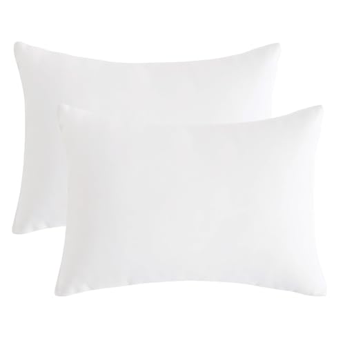 DSAoTeng Lot de 2 oreillers de voyage microfibre doux et lavables, 28 x 17,8 cm, pour cou, genoux et lombaires, sieste, bureau, voiture, camping (blanc)