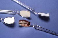 PLP Flecta Disposable Mirror Bx/200