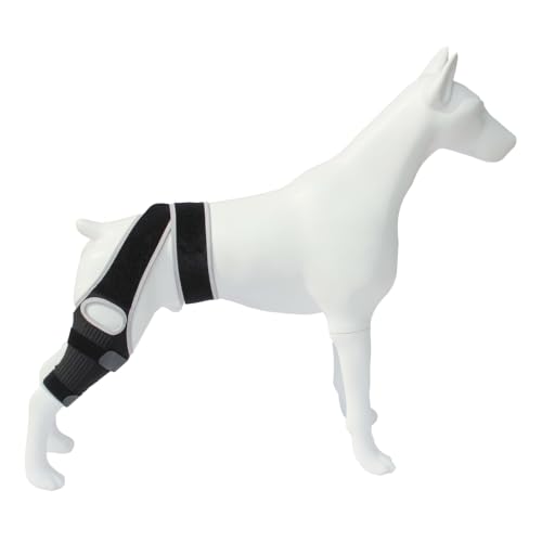 taefyiasz ybgpT|[^[ p nr pi 둫 Gpbh u[X ^ ^ ^  ֐ veN^[ V pi ی ȒPȒE ߉\ rߖh~ (Vo[O[,XS)