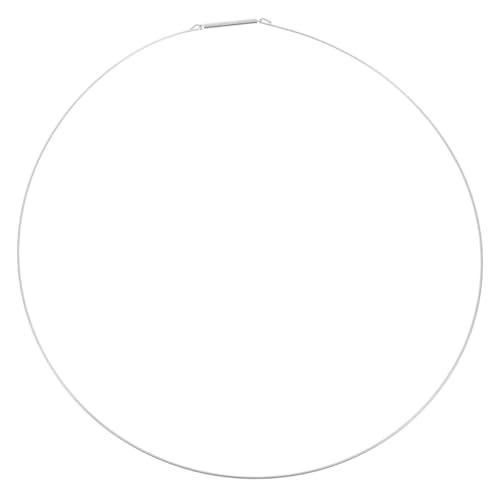 PRETYZOOM @hAV[ z[X R[hv[[ ̑ bV[i @̃hA𖧕XvO pbV[hAO hAV[O Silver |