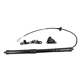 verin hydraulique de Coffre pour Toyota pour RAV4 Le, Limited, SE, XLE 2013 2018 2,5 L L4/vérin à gaz de hayon électrique arrière Gauche verrins de Coffre