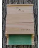 Songbird Essentials OBC Bat Triple Chamber SE521