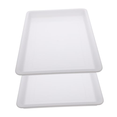 Homoyoyo 2 Piezas Bandejas de Pintura para Accesorios para Dibujo con Agua Bandejas de Arte DIY Plástico Duradero Fáciles de Limpiar y Reutilizables