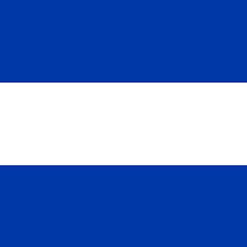 Drapeau de Muiden grand format pour reconstitution historique et commémoration