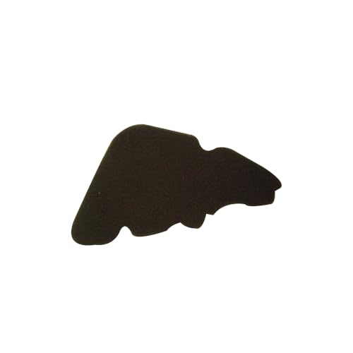 Filtro aspirazione carter in spugna ricambio per moto Piaggio Liberty 4T Sport Eu3 150cc 2008 Liberty 200cc 2006 Liberty 4T Eu3 200cc 2007-2008 Liberty 4T Sport Eu3 200cc 2006-2007 Liberty Rst 200cc 2004 Liberty Sport 200cc 2006 Derbi Sonar 50/125/150/200
