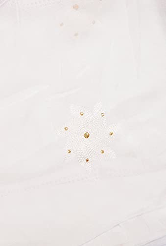Image of YOUTHQUAKE Flower Embroidered Diamond Work Chiffon Dupatta for Womens & Girls With 4 Side Lace