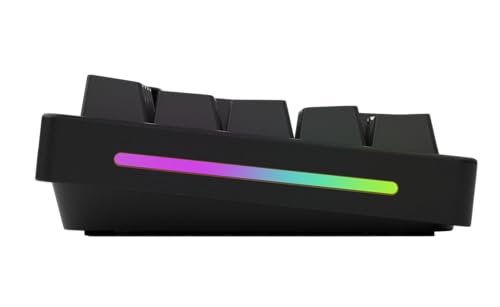 Numpad programable con interruptores mecánicos y keycaps ABS GLORIOUS 7