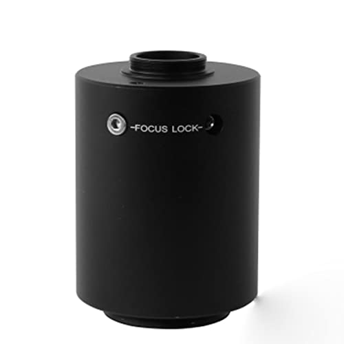 ώ@ C}EgA_v^0.35X 0.5X 0.63x 0.8x 1.2x 1.5x 2.25xJA_v^(0.8X)