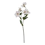 hellebore flower Altezza: 47 cm. Hill Interiors The Natural Garden Collection Helleboro - Fiori artificiali, Albicocca pallida, Taglia unica