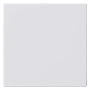 Gira Blindabdeckung 810803 System 55