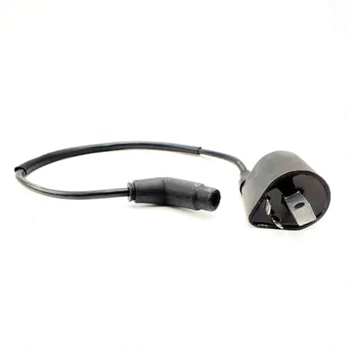 Bobina de encendido y cable para L-NHAI 260 300 400 500 EFI 3