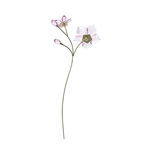 Amazon.com: Swarovski Garden Tales Cherry Blossom Pink Talla única