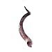 Natural Antelope Kudu Horn Shofar Half Polished (24