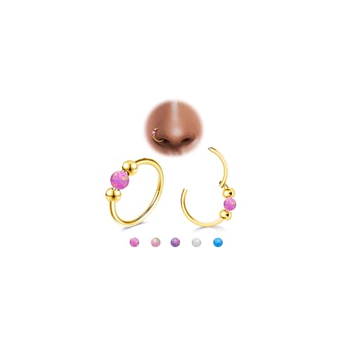 DGhera 2pcs 18G Opal Nose Rings for Women, G23 Titanium Nose Piercing Jewelry for Helix, Tragus, Conch, Rook, Earlobe Piercing Jewelry Nose Ring (Gold Earrings & Purple Opal)