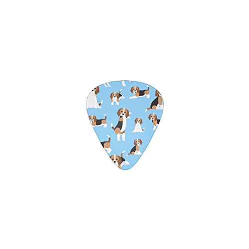 r[O wi fUCM^[sbN guitar pick eBAhbv^ GLM^[/AR[XeBbNM^[/NVbNM^[/x[X̗KɍœK12Zbg
