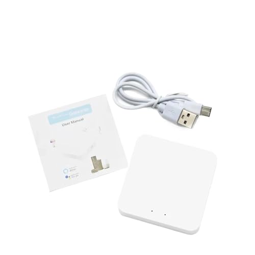 Module commutateur 16A Controller-T-W-H pour couper vos appareils à distance