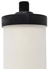 Doulton W9123019 UltraCarb SI Ceramic Drinking Water Filter Cartridge Candle Lime Scale Reduction 10 inch BSP Thread, White, 1 Count (Pack of 1)