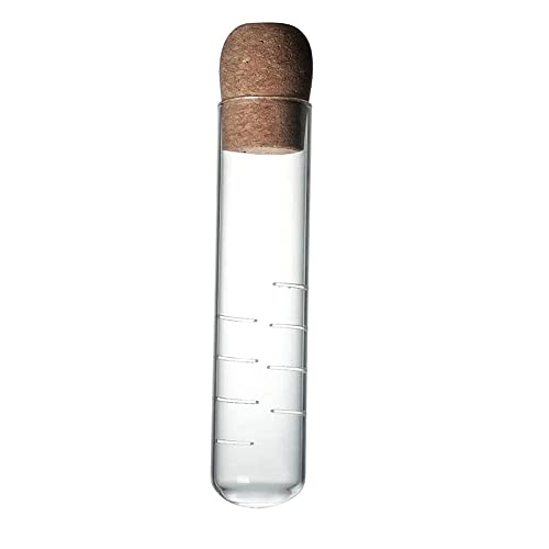 Passoire à thé, tube à essai, infuseur à thé, passoire à thé transparente, mini bouteille vide avec bouchon en liège, pour thé en vrac