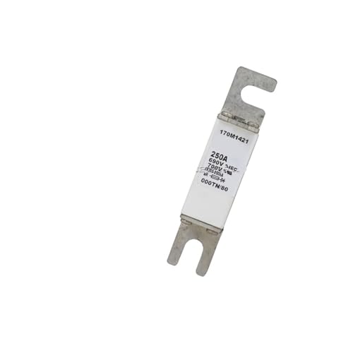 Fusible 170M1421 pour eviter les pannes de surtension