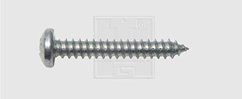 SWG Phillips 115481625 Tapping Screws 4.8 mm 16 mm Phillips DIN 7981 Galvanised Steel Pack of 100, multi-coloured