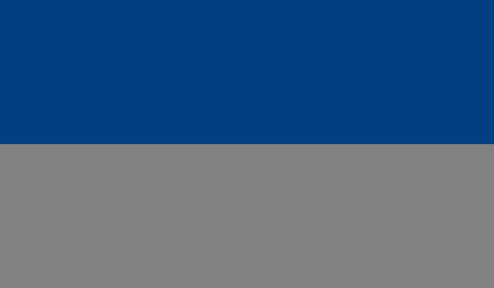 Drapeau Juan Santiago grand format pour municipalité de la région