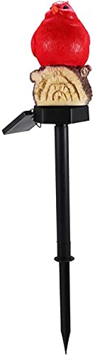 Solar Bird Lights Fake Bird Decoy Statue Lamp Outdoor Garden Yard Patio Decor Lights-Bird Night Warm Light (Red Bird)