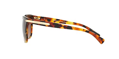 Image of Coach womens Hc8132 Cat Eye Sunglasses