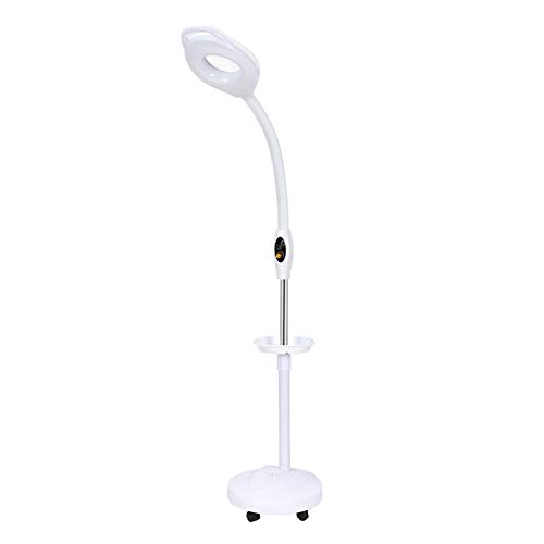 Lampadaire à LED en forme de loupe - Base à galets roulants Bras de lampe réglable pour lecture avec loupe - Grossissement 16x - Avec support de rangement - Salon de beauté à lumière froide