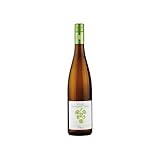 AUSBAU: Edelstahltank Ökonomierat Rebholz Riesling Weisswein Weiss trocken BIO Deutschland inkl. FeinWert E-Book (1 x 0.75 l)