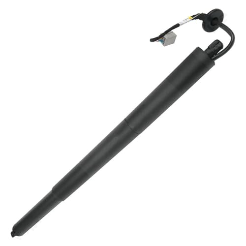 Paire vérins à gaz hayon FB5378402A55BA pour coffre électrique Ford Explorer SUV