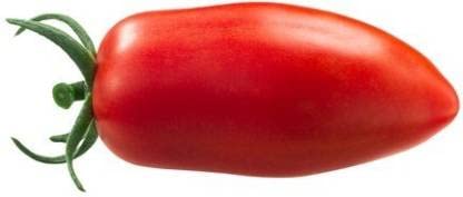 Green World TOMATO SAN MARZANO 3/ LAME TAMATAR SEEDS FOR KITCHEN GARDENING (20 seeds) (B09KLWN17P) Amazon Price History, Amazon Price Tracker