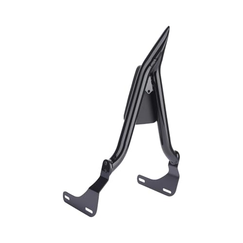 Coussin dossier arrière moto ergonomique et amovible pour custom CMX1100