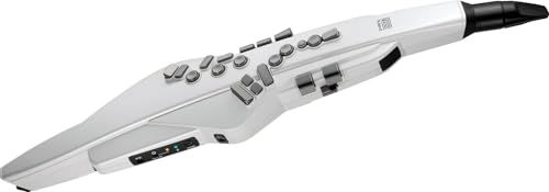 管楽器・吹奏楽器 Roland aerophone AE-20 Roland - Company - ニュースリリース - 2022 - デジタル管楽器