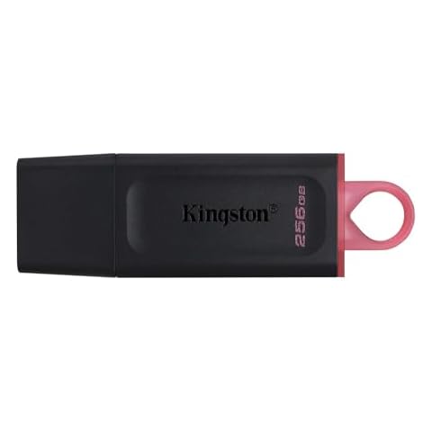 Kingston DataTraveler Exodia 256GB USB Drive Cover