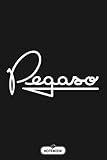  Pegasso B27959 Notebook: Lined College Ruled Paper, Matte Finish Cover, 6x9 120 Pages, Planner, Diary, Journal