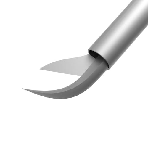 Very Excellent Quality Titanium Detachable Anterior Segments/Vitreoretinal Micro for. and Micro Sci. Available Tips 20G, 21G, 22G, 23G and 25G with Handle (21G)