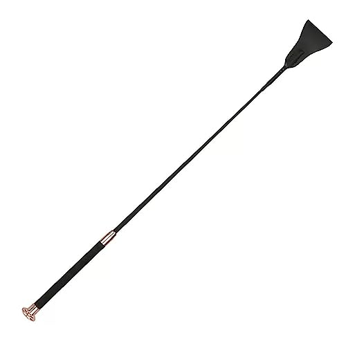 np̕ n J[{t@Co[npڏnڏQV[g npi n np