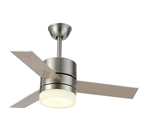 Ventilateur de plafond moderne avec lumières LED télécommande ventilateur intérieur muet 36"