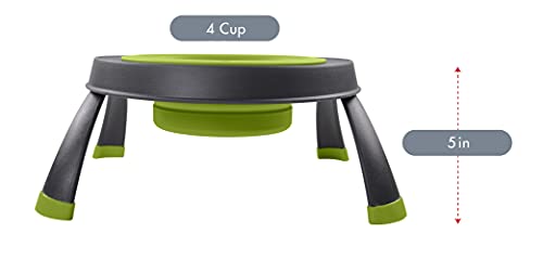Dexas Popware For Pets Single Elevated Pet Feeder, Large, Gray/Green #TOP3
