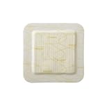 Coloplast Biatain Silicone Foam Dressing, 4 x 4 Inch - 1/Individual Dressing