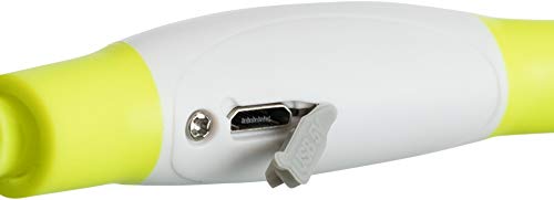 Trixie Flash Leuchtring USB Rot M-L
