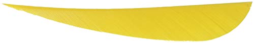 Gateway Parabolic Feathers Yellow 4 in. RW 100 pk.