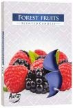Scented Candles, Pack of 6, Tea Lights, Scent: Forest Fruits