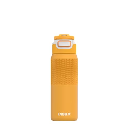 Kambukka Elton 750ml / 25oz Insulated Drinking Water Bottle, Stainless Steel Thermos, Waterproof with Dishwasher Safe Lid and Snapclean Technology, Easy to Hold, Comfortable Grip - Mango Maniac