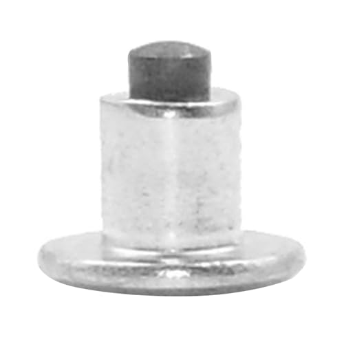 AKLOSIPY 300 Clavos para Neumáticos, Picos de Metal Antideslizantes para Nieve, Hielo, Barro, con Núcleo de Tungsteno de Acero Endurecido, Se Adapta a Bicicletas, Motocicletas, Zapatos