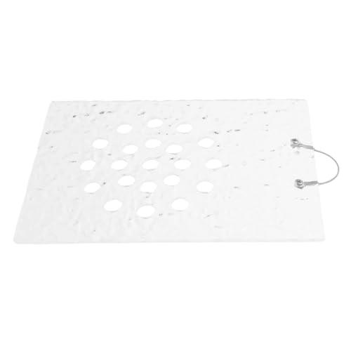 ANDRESLAD Fioriera Da Parete in Acrilico Con Base in Felce Di Cervo Montaggio A Parete Vaso Per Piante Piccolo Spazio Esposizione Di Piante